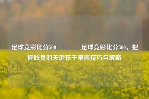 足球竞彩比分500🏆足球竞彩比分500，把握胜负的关键在于掌握技巧与策略
