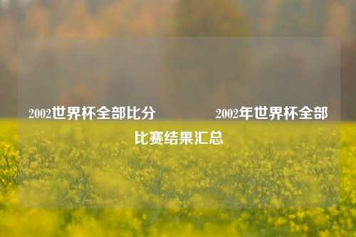 2002世界杯全部比分🥈2002年世界杯全部比赛结果汇总