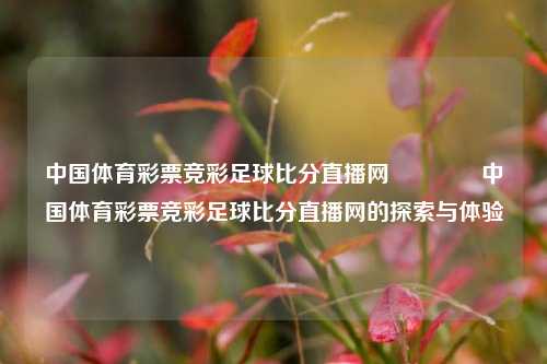 中国体育彩票竞彩足球比分直播网🥎中国体育彩票竞彩足球比分直播网的探索与体验