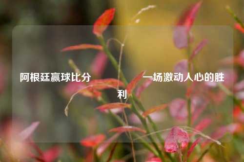 阿根廷赢球比分🎖️一场激动人心的胜利