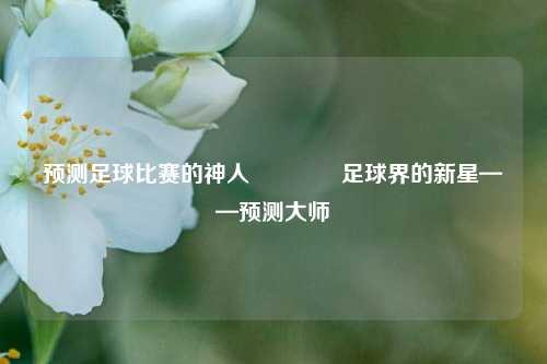 预测足球比赛的神人🏅足球界的新星——预测大师