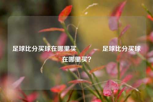 足球比分买球在哪里买🥈足球比分买球在哪里买？