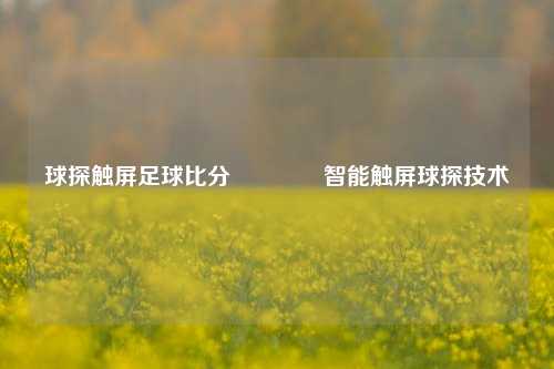 球探触屏足球比分👍智能触屏球探技术