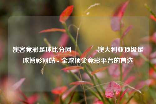 澳客竞彩足球比分网🥇澳大利亚顶级足球博彩网站 - 全球顶尖竞彩平台的首选