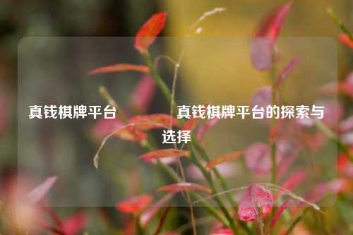 真钱棋牌平台🌈真钱棋牌平台的探索与选择