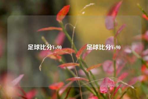 足球比分Vs90🥈足球比分Vs90