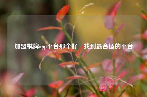 加盟棋牌app平台那个好⚽找到最合适的平台