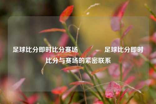 足球比分即时比分赛场🥈足球比分即时比分与赛场的紧密联系