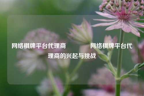 网络棋牌平台代理商🥇网络棋牌平台代理商的兴起与挑战