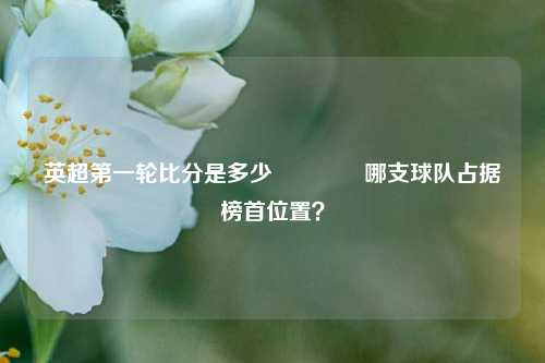 英超第一轮比分是多少👉哪支球队占据榜首位置？