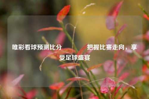 唯彩看球预测比分🥈把握比赛走向，享受足球盛宴