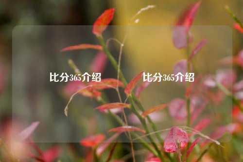 比分365介绍🥉比分365介绍