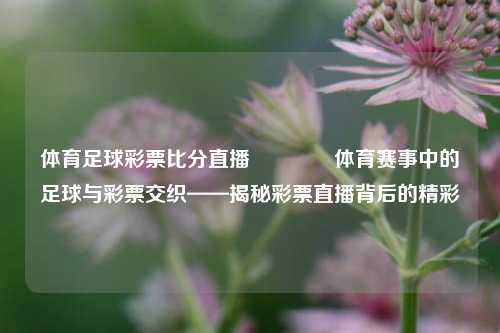 体育足球彩票比分直播🥉体育赛事中的足球与彩票交织——揭秘彩票直播背后的精彩