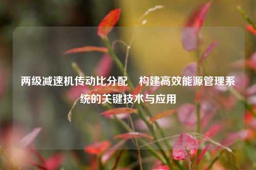 两级减速机传动比分配⚾构建高效能源管理系统的关键技术与应用