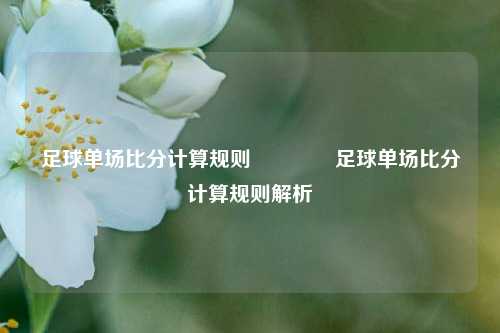 足球单场比分计算规则🏀足球单场比分计算规则解析
