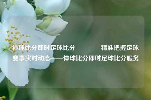 体球比分即时足球比分🏀精准把握足球赛事实时动态——体球比分即时足球比分服务