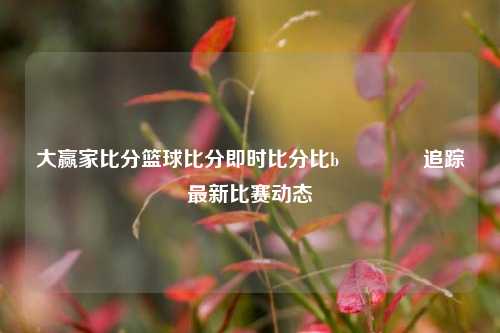 大赢家比分篮球比分即时比分比b👉追踪最新比赛动态