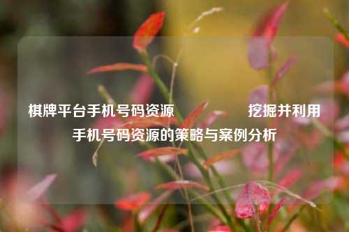 棋牌平台手机号码资源🎖️挖掘并利用手机号码资源的策略与案例分析