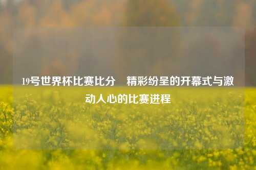 19号世界杯比赛比分⚾精彩纷呈的开幕式与激动人心的比赛进程
