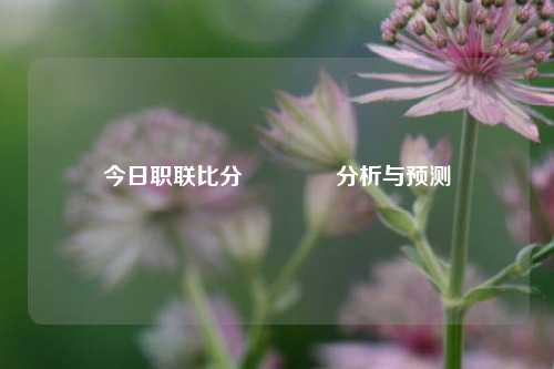 今日职联比分👉分析与预测