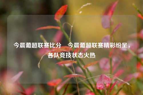 今晨葡超联赛比分⚽今晨葡超联赛精彩纷呈，各队竞技状态火热