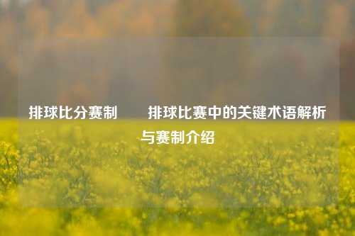 排球比分赛制✌️排球比赛中的关键术语解析与赛制介绍
