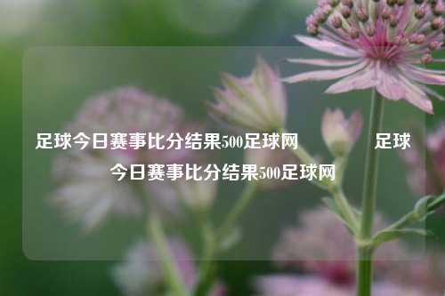 足球今日赛事比分结果500足球网🏀足球今日赛事比分结果500足球网