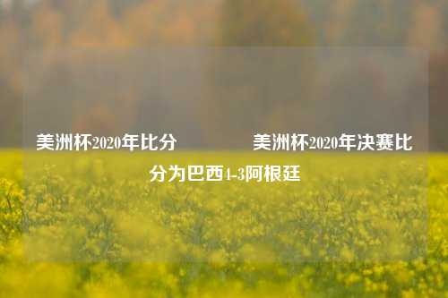 美洲杯2020年比分🥉美洲杯2020年决赛比分为巴西4-3阿根廷