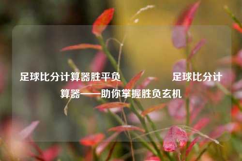 足球比分计算器胜平负🎖️足球比分计算器——助你掌握胜负玄机