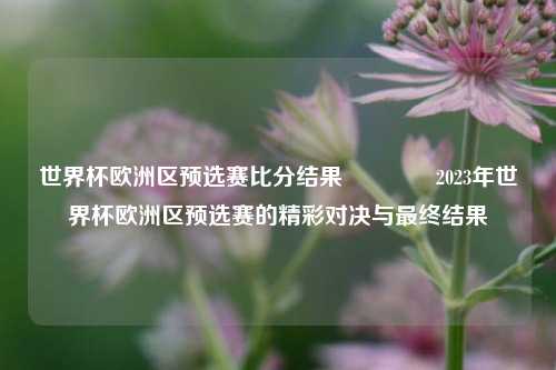 世界杯欧洲区预选赛比分结果🥇2023年世界杯欧洲区预选赛的精彩对决与最终结果