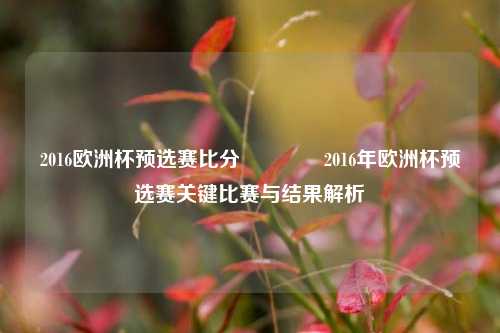 2016欧洲杯预选赛比分🥉2016年欧洲杯预选赛关键比赛与结果解析