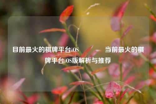 目前最火的棋牌平台iOS🏐当前最火的棋牌平台iOS版解析与推荐