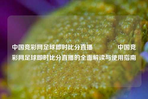中国竞彩网足球即时比分直播👈中国竞彩网足球即时比分直播的全面解读与使用指南