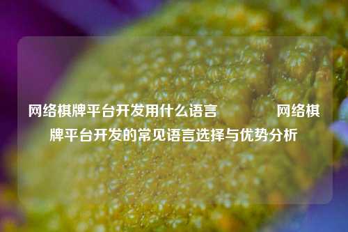 网络棋牌平台开发用什么语言🏆网络棋牌平台开发的常见语言选择与优势分析