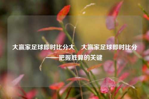 大赢家足球即时比分大⚽大赢家足球即时比分——把握胜算的关键