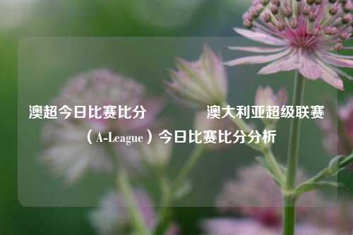 澳超今日比赛比分👍澳大利亚超级联赛（A-League）今日比赛比分分析